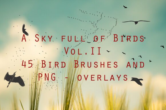Download 45 Bird Brushes and Bird PNG Overlays - Premium Bundle